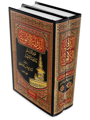 الدولة الأموية : عوامل الازدهار وتداعيات الانهيار (جزأين)