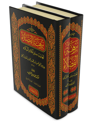نزهة الفضلاء تهذيب سيرأعلام النبلاء  (جزأين)