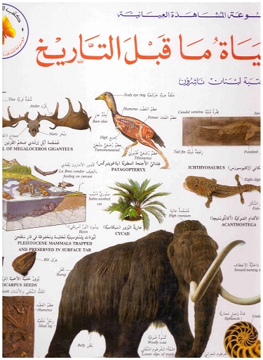 حياة ما قبل التاريخ